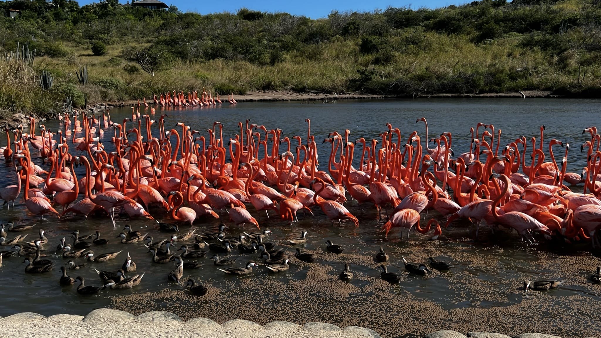 The Perfect Charter Itinerary