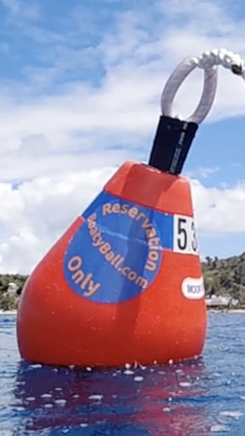 Mooring balls in the water